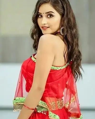 Call Girls Service Chengam